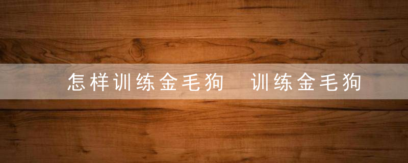 怎样训练金毛狗 训练金毛狗的方法